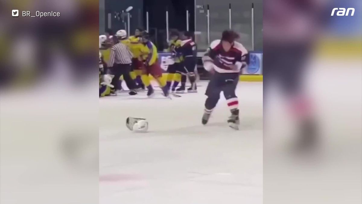 Was ist das? Eishockey-Crack wird bei Schlägerei zum Schattenboxer