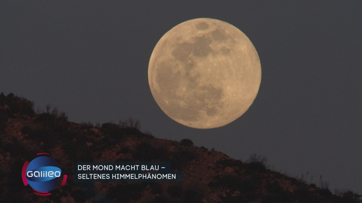 Super Blue Moon: Spektakuläres Naturphänomen!