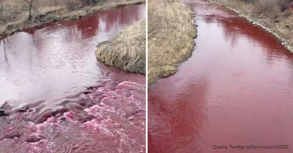 Mysteriöse Aufnahmen: Wanderer filmt "blutenden" Fluss in Kanada