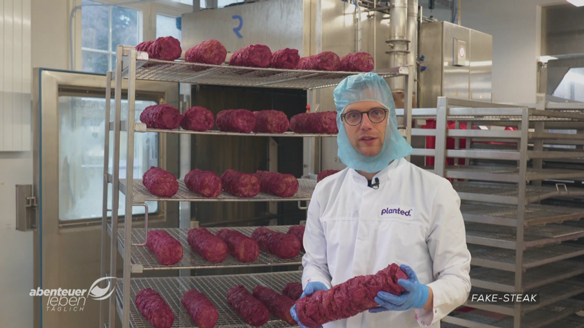Täuschend echt? Das Planted Steak im Check