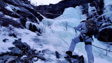 The Arctic