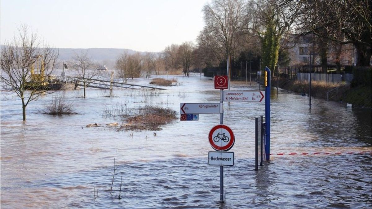 Bedrohlicher Anstieg: Rhein-Hochwasser erreicht Großstädte