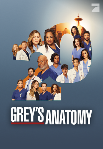 "Grey's Anatomy": Alle Infos zur Serie Image