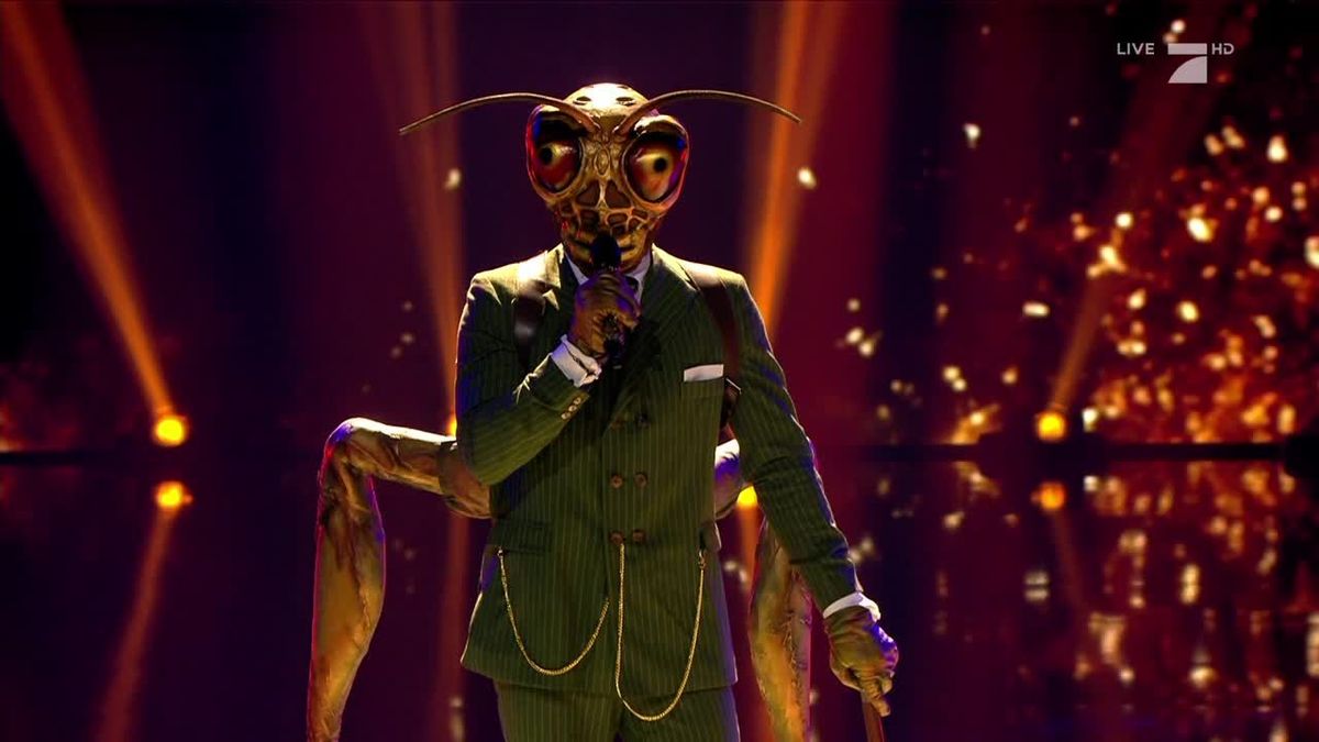 The Masked Singer