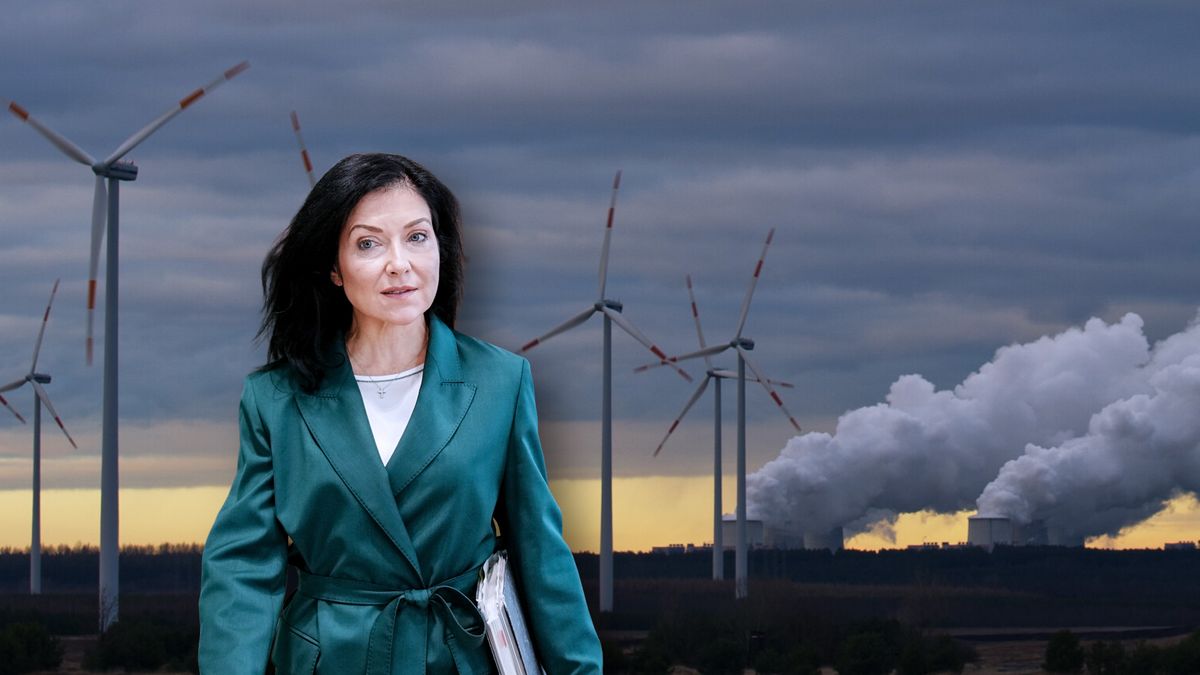 Zweifel an Reiches Energie-Plänen