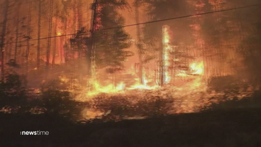 1.000 Waldbrände in Kanada: Immer mehr Menschen müssen evakuiert werden
