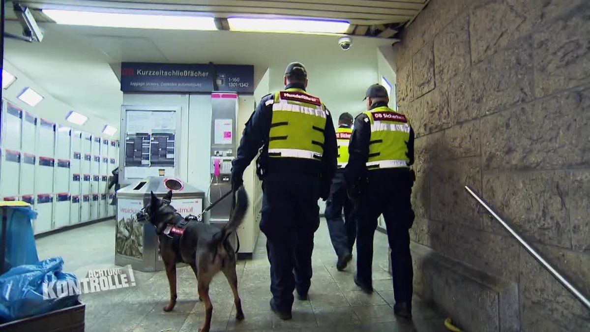 Achtung Kontrolle! Einsatz für die Ordnungshüter