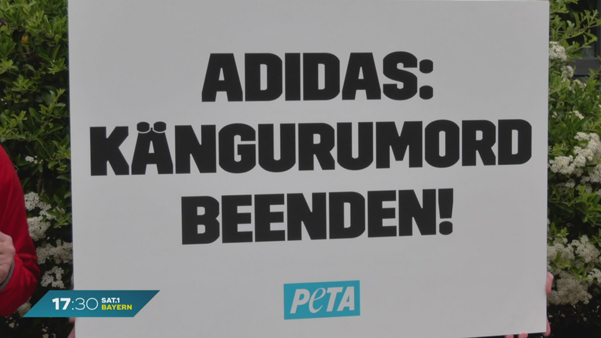 Känguru-Leder in Sportschuhen? Demonstration gegen Adidas