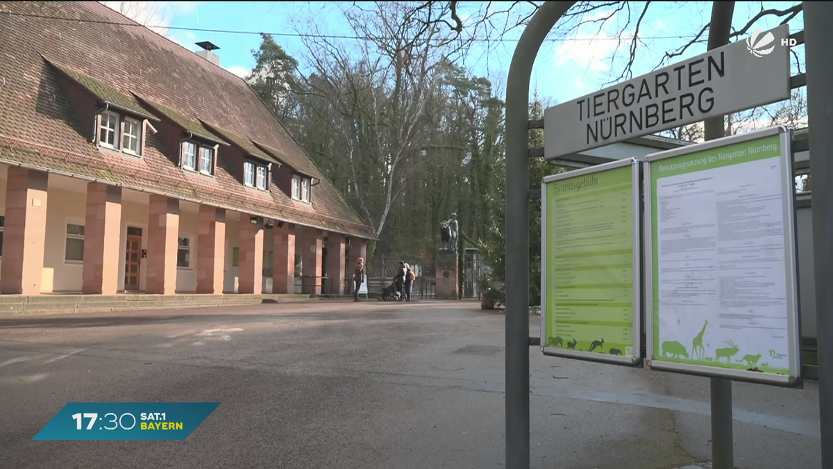 Nürnberger Tiergarten: Verdacht auf Vogelgrippe bestätigt