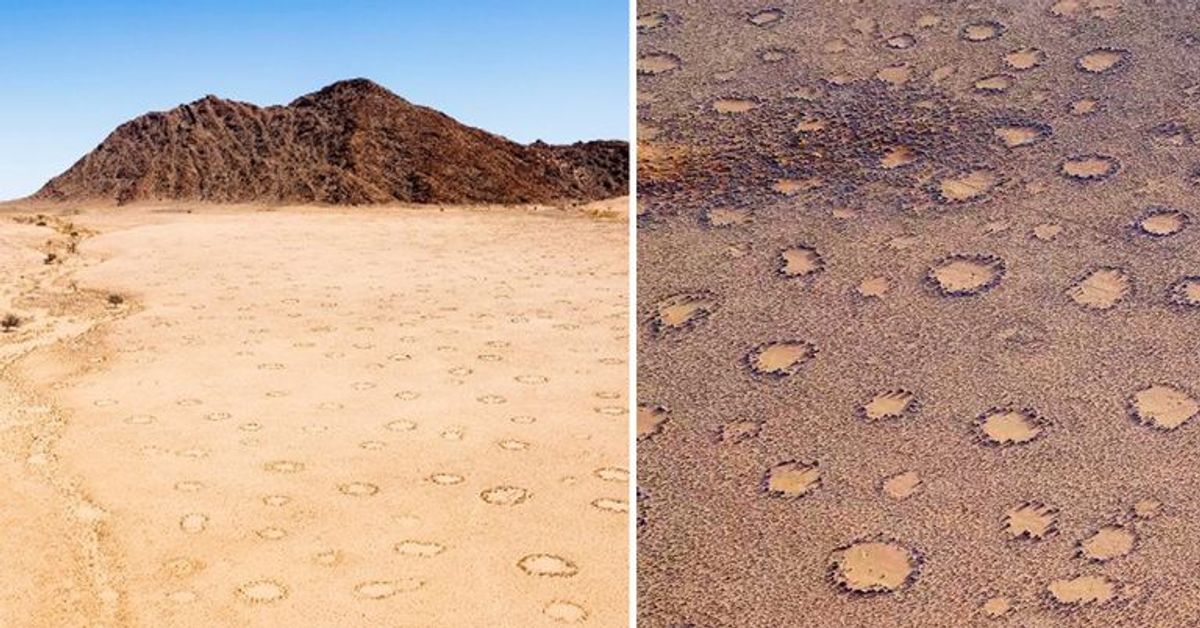 Geheimnis um mysteriöse "Feenkreise" in Namibia endlich gelöst?