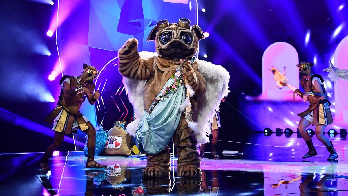 The Masked Singer