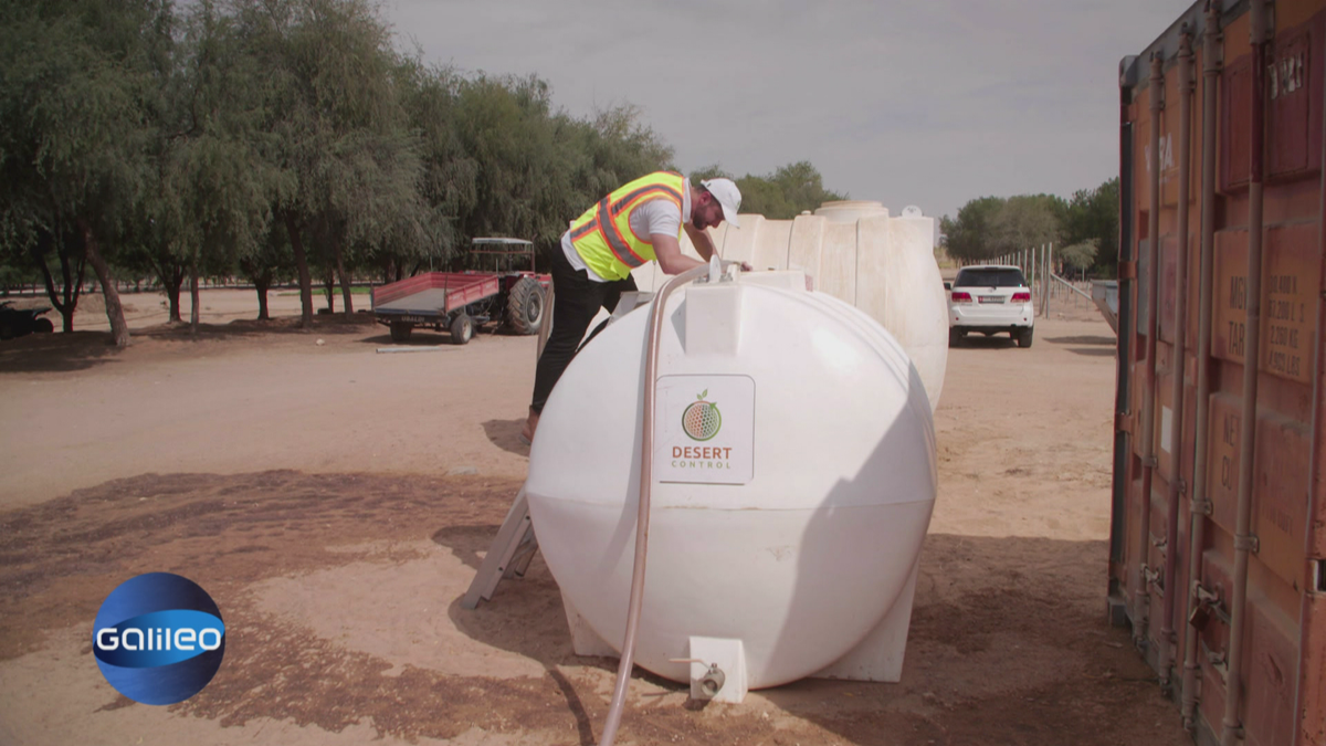 Desert Control: Bodentuning für Wüstenboden