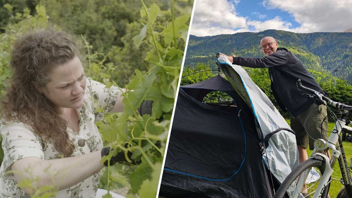 Urlaub gegen Arbeit vs. Gartencamping: Welches Billig-Konzept lohnt mehr?
