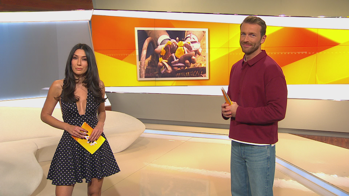 Tipps und Tricks fürs Pilzesammeln