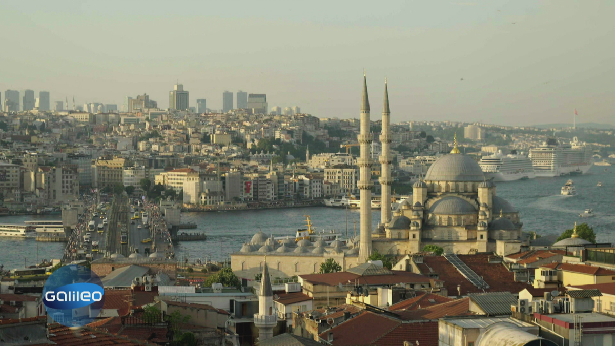 Von Bosporus-Pendlern und Straßenkatzen-Projekten: 5 Straßen Istanbul