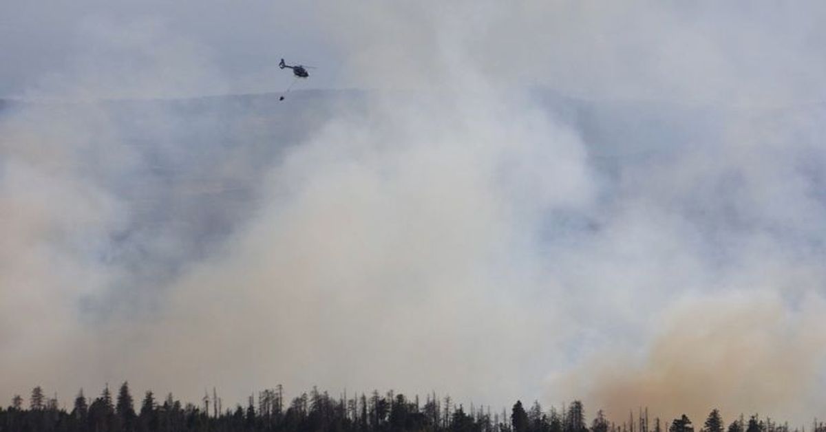 Waldbrand am Brocken: Das ist der aktuelle Stand