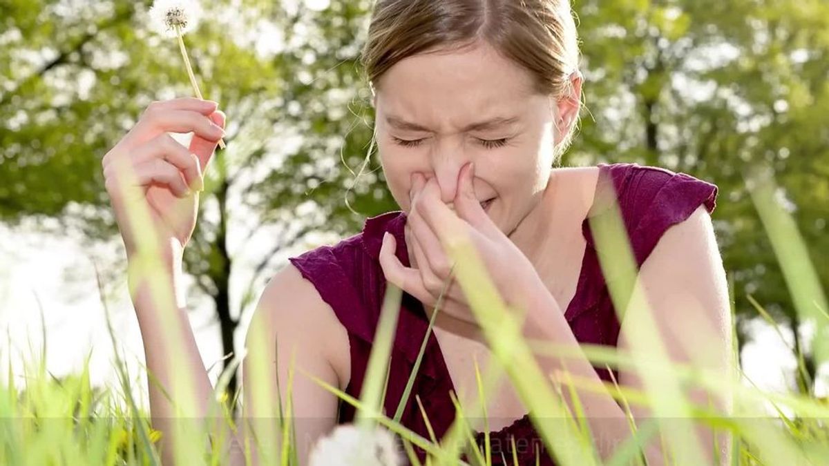 Allergie oder Schnupfen? Das sind die Symptome