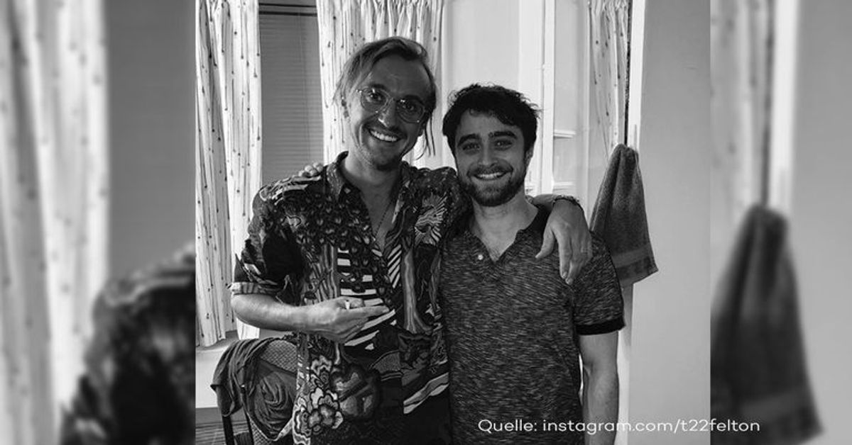 "Harry Potter"-Reunion von Harry und Draco