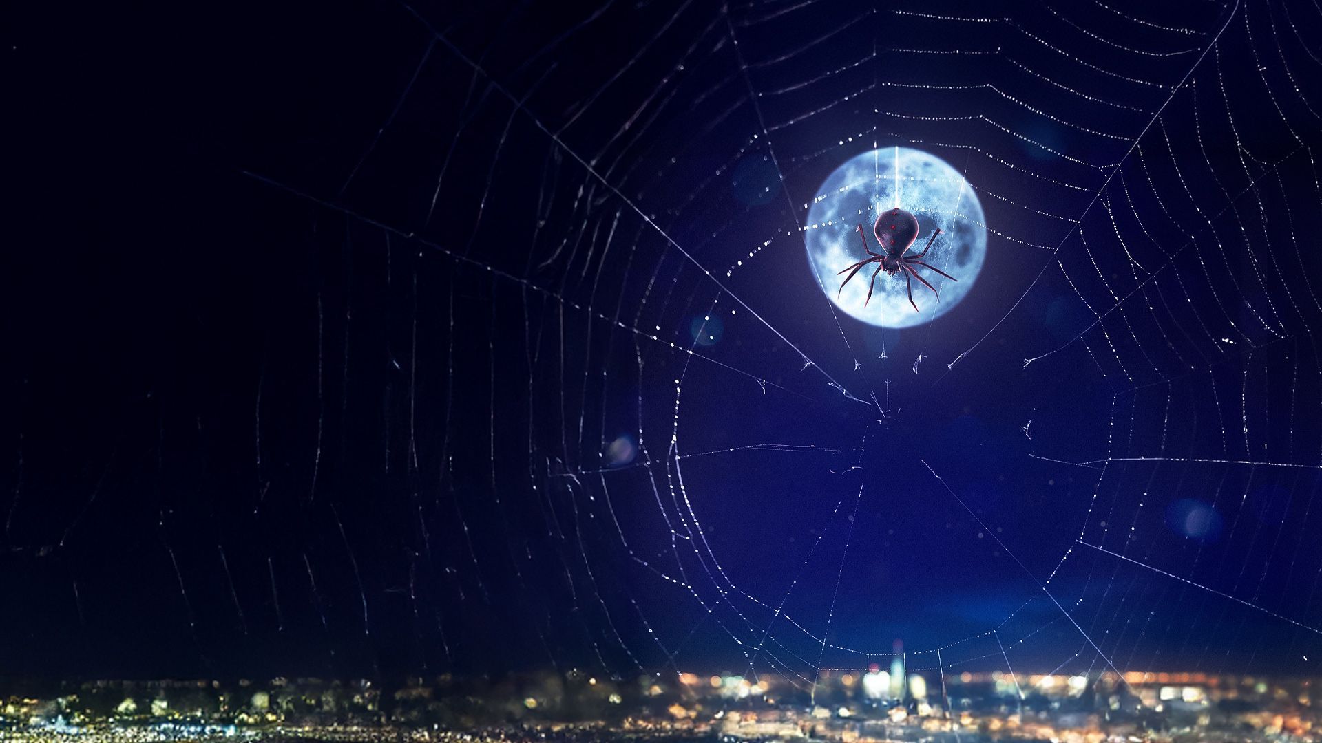 Inside Spider-Man