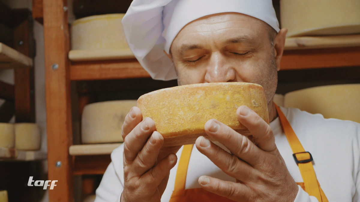 Käse als Wertanlage und Diebesgut: Fakten zum beliebten Milchprodukt