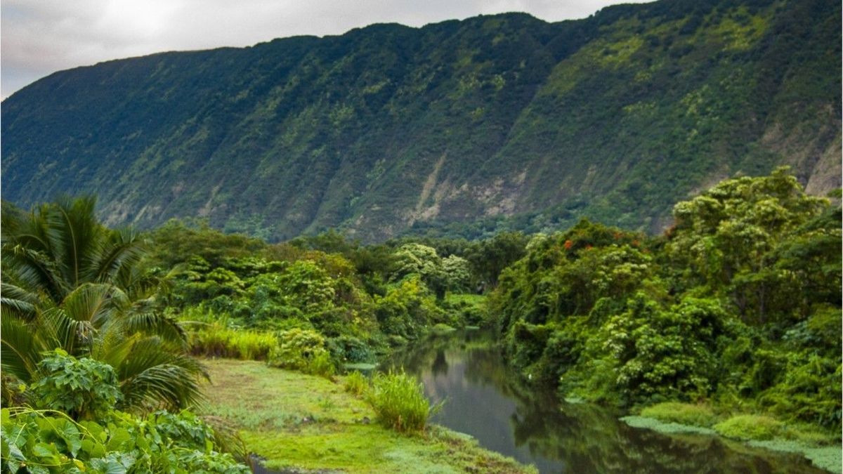 Dieser Fluss riecht plötzlich nach Bier - und enthält 1,2 Prozent Alkohol!