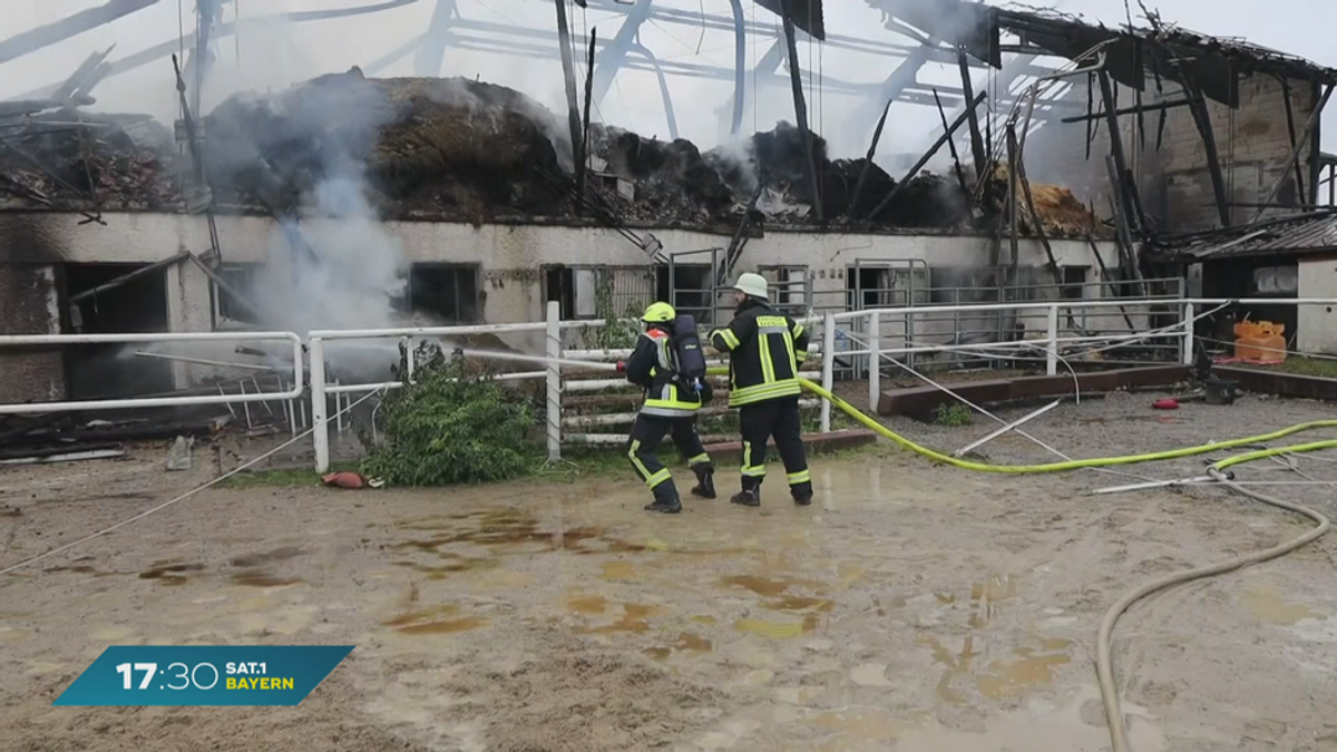 Brand auf einem Pferdehof im Allgäu: Zwei Menschen verletzt