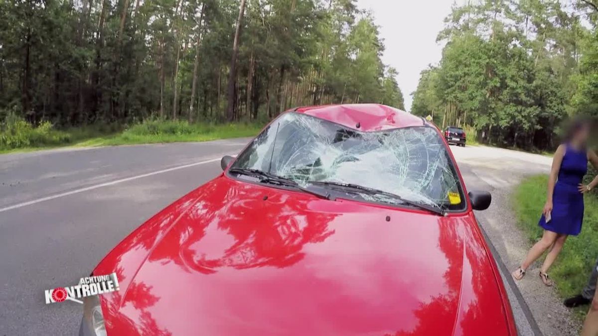 Achtung Kontrolle! Einsatz für die Ordnungshüter