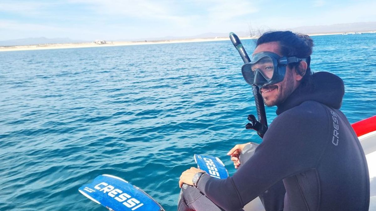 Schwimmen mit zehntausenden Teufelsrochen: Ist das nicht gefährlich?