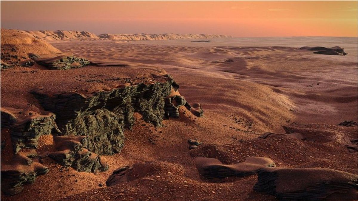 Forscher über falsche Fossilien auf dem Mars: "Sind getäuscht worden"