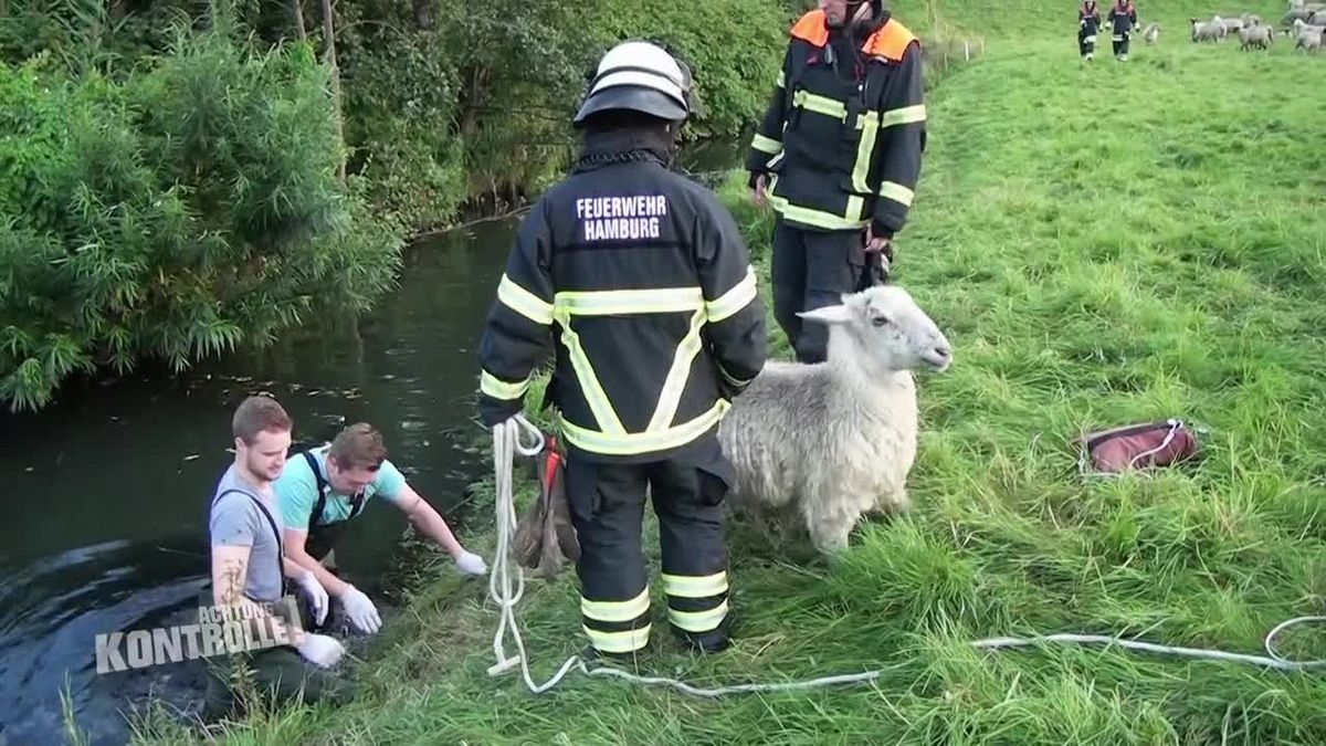 Achtung Kontrolle! Einsatz für die Ordnungshüter