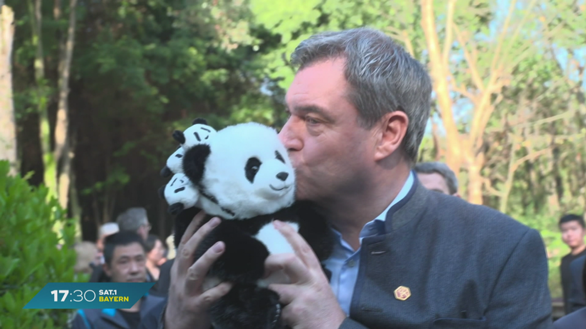 Markus Söder in China: Von Panda-Kuss bis Wirtschaftsbeziehung