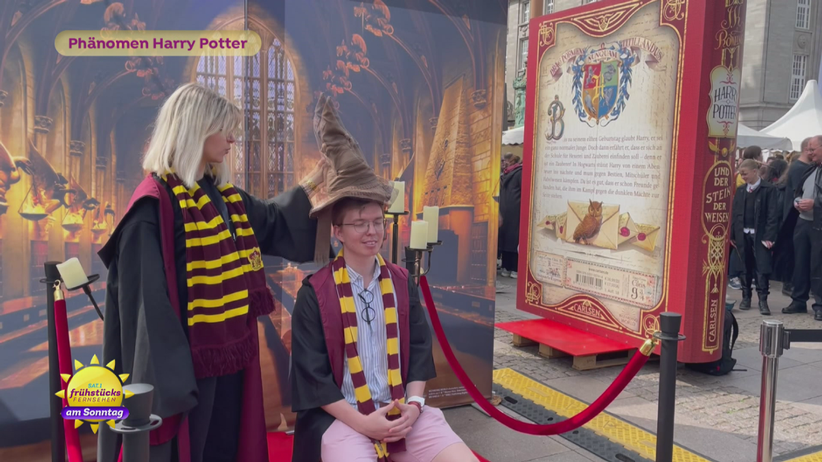 Das Phänomen Harry Potter