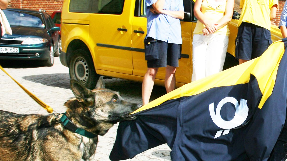 Hundetraining für Post- und Paketboten