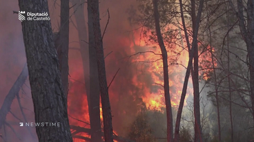 Gefährliche Dürre: Spaniens Wälder brennen so früh wie nie 