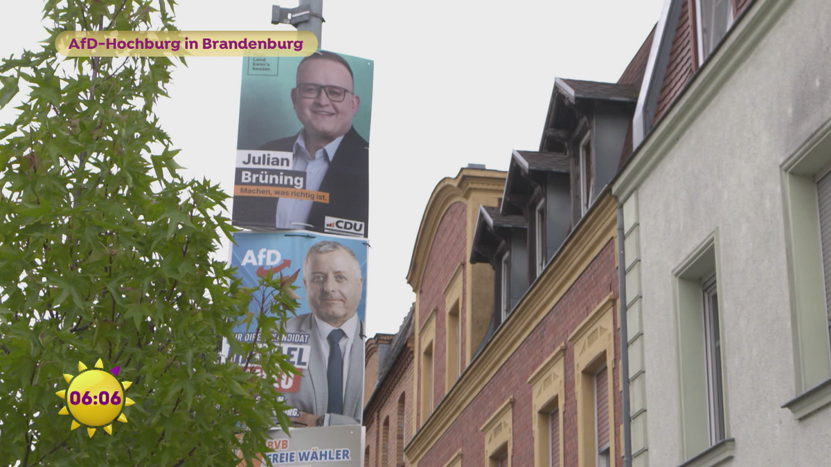 AfD-Hochburg in Brandenburg