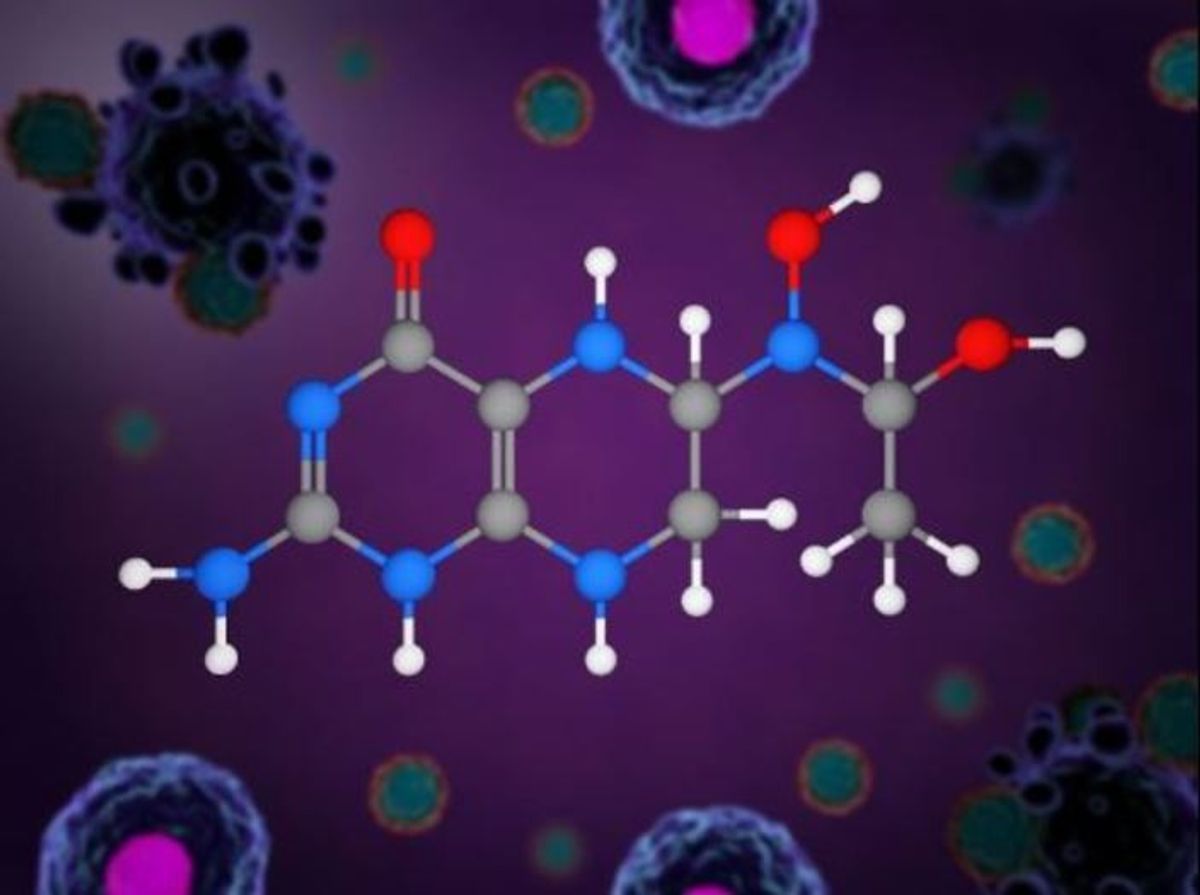 Immunsystem einfach an- und ausschalten: Mit diesem neu entdeckten Molekül möglich!