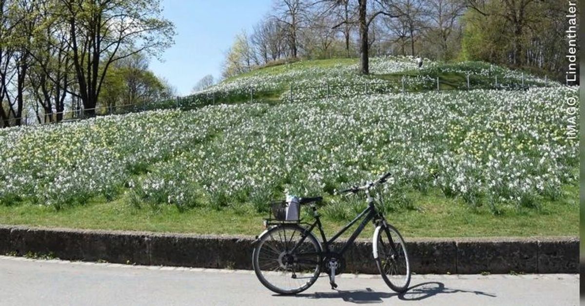 Corona-Gefahr durch Schnaufen? Radfahren soll im Münchner Westpark verboten werden