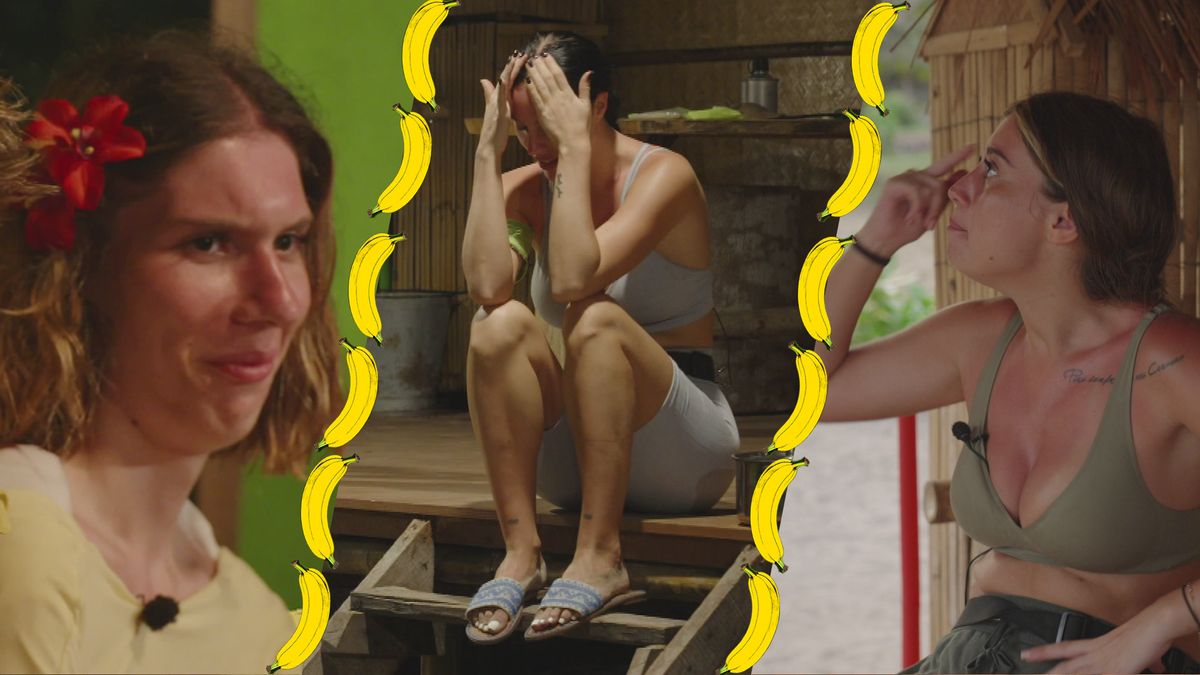 Auf die Palme gebracht: Das Ex-Drama zieht alle in den Stress-Strudel!