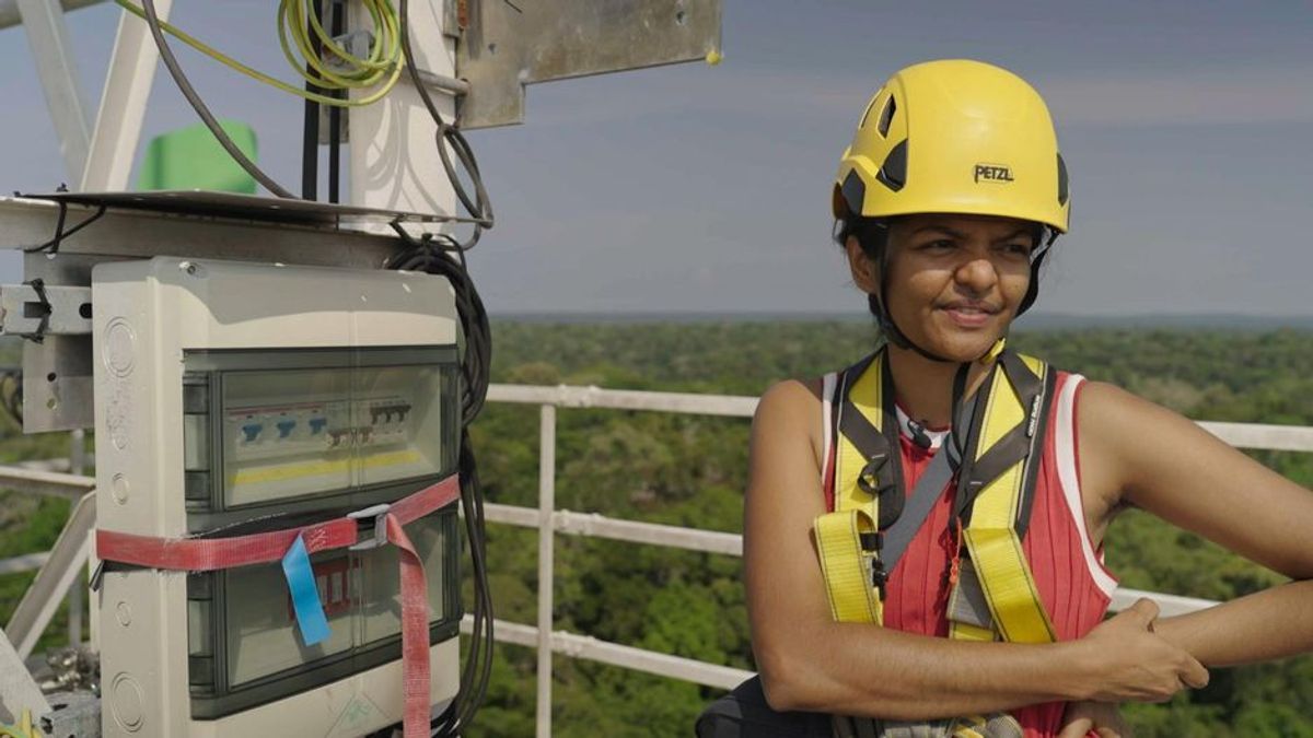 325 Meter über dem Amazonas: Welche Funktion hat der ATTO-Turm?