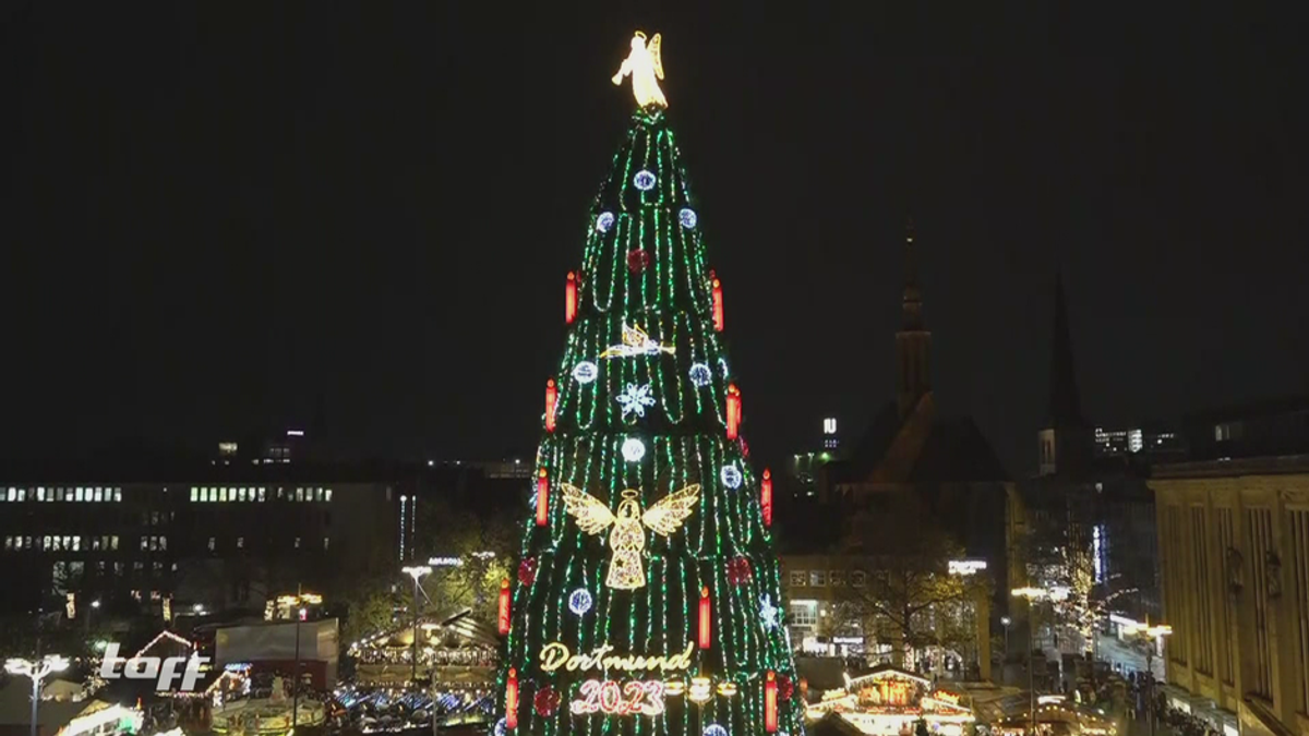 Warum ist Deutschland so verrückt nach Weihnachtsbäumen?