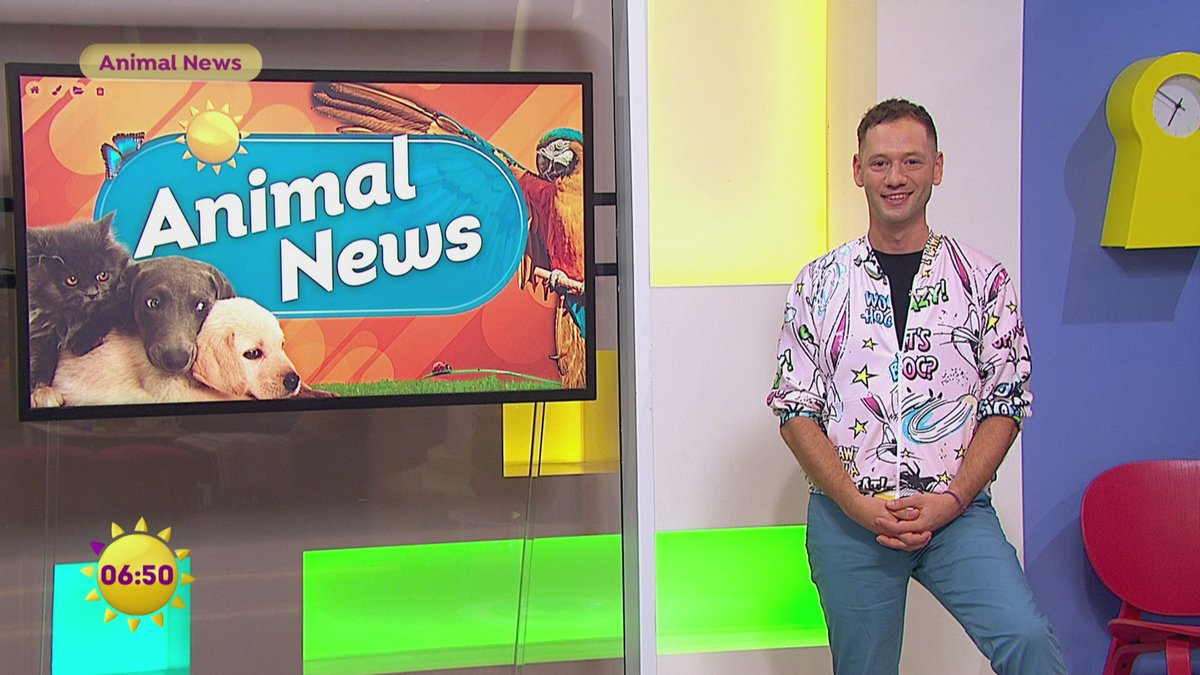 Animal News vom 29.7.2024