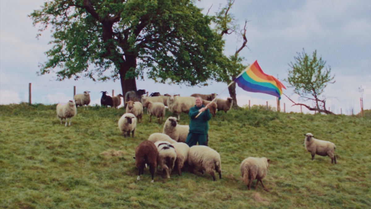 Mit Bill Kaulitz als Schafs-Pate: Diese Wolle stammt von schwulen Schafsböcken!