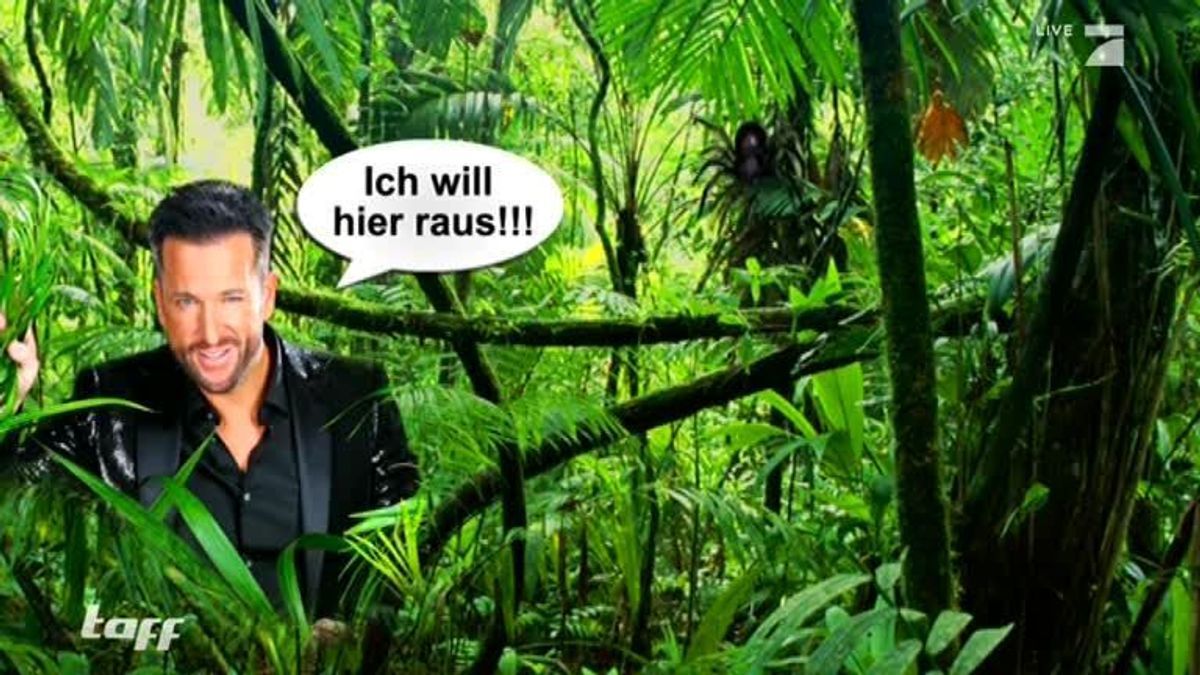 taff vom 21. Januar