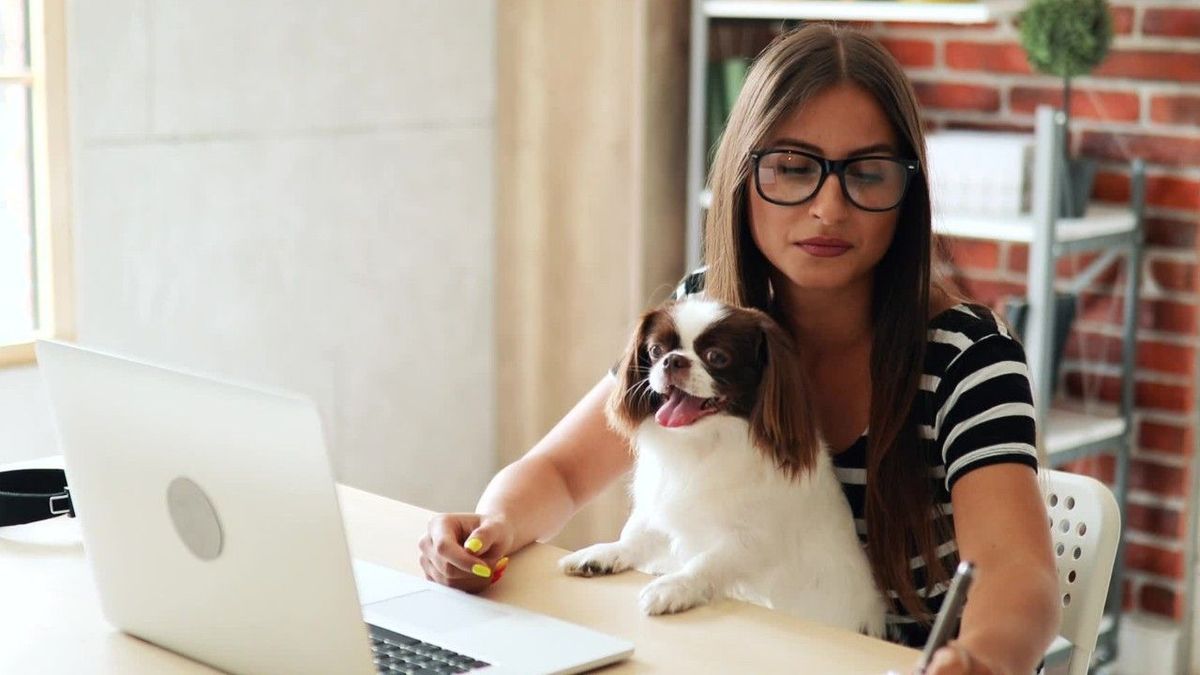 Experten klären auf: Kann ich Anschaffungen fürs Homeoffice absetzen?