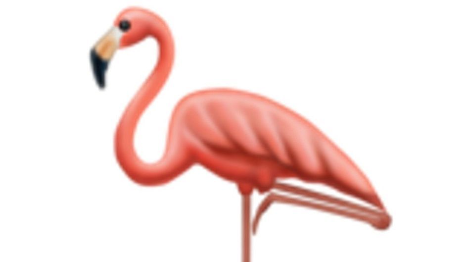 Flamingo, Faultier, Fallschirmspringer: Das sind die neuen Emojis