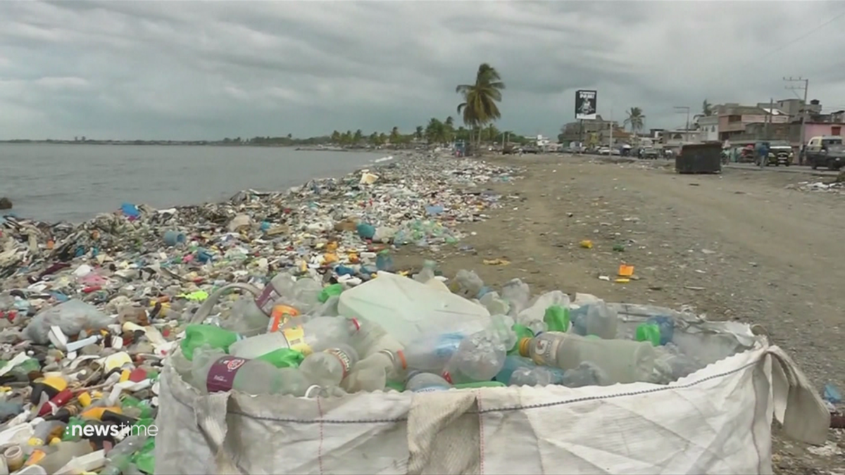 Welttag der Ozeane: Meere leiden unter Klima, Überfischung und Müll