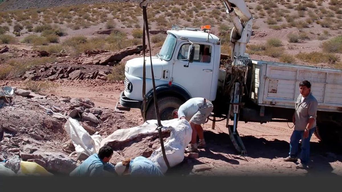 Neue Dinosaurier-Art entdeckt! Was Forscher in Argentinien ausgegraben haben
