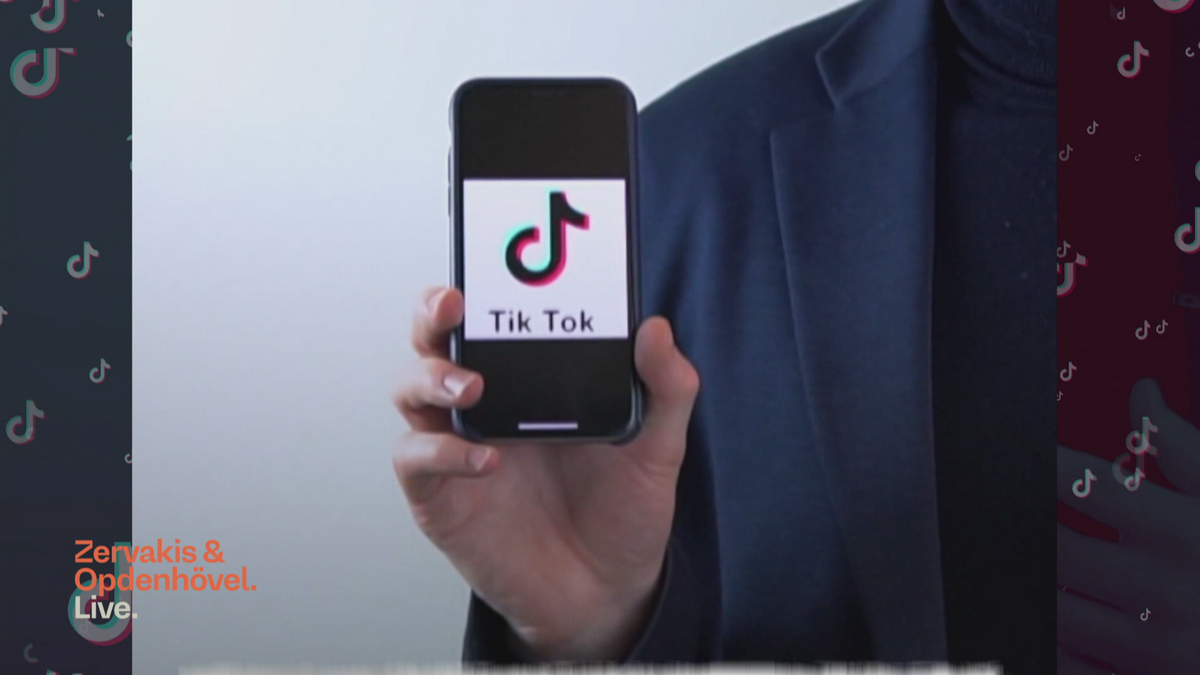 Wird TikTok bald in der EU verboten?