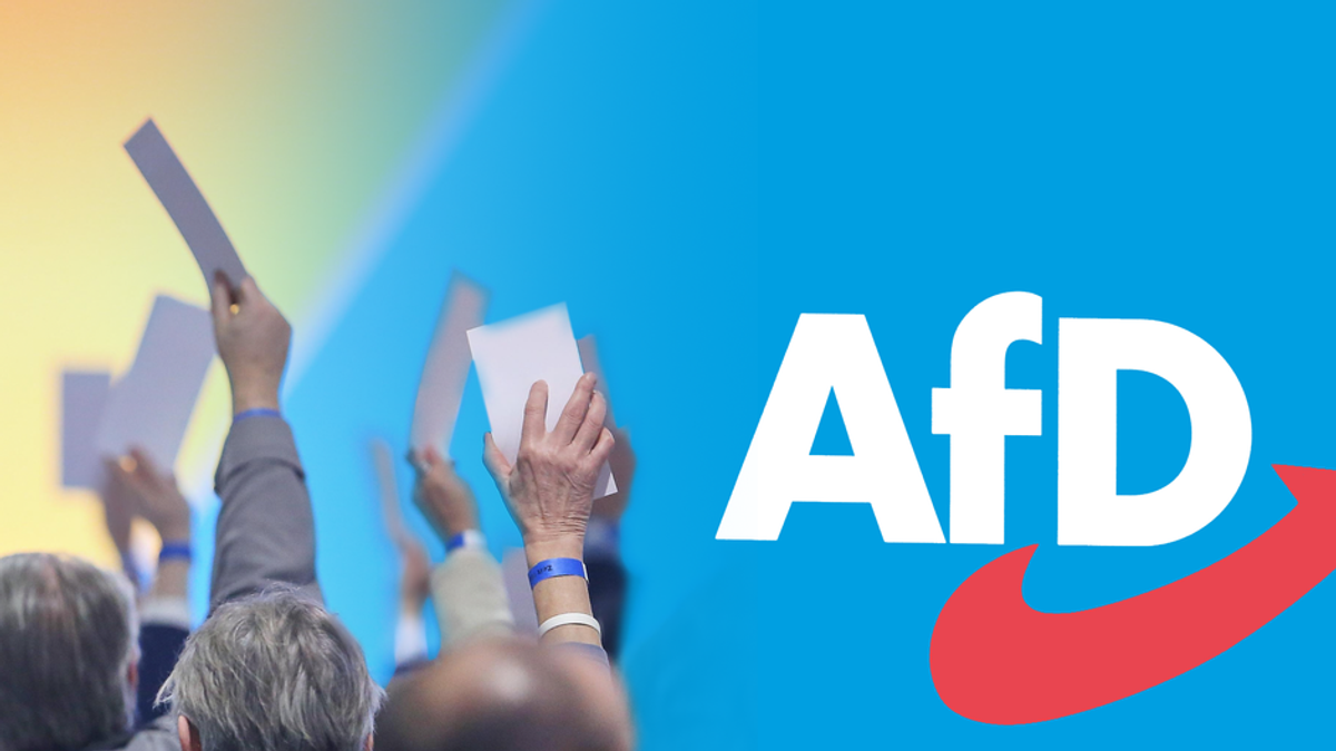 Das Wichtigste aus dem AfD-Wahlprogramm