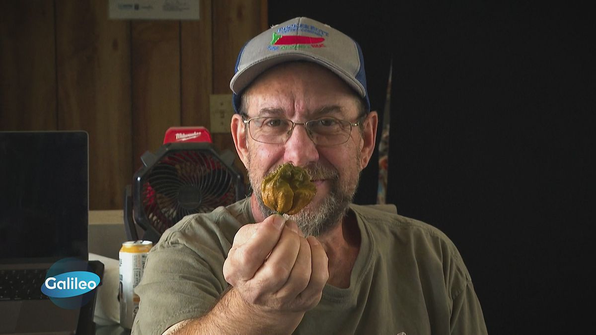 2.693.000 Scoville: Die schärfste Chili der Welt